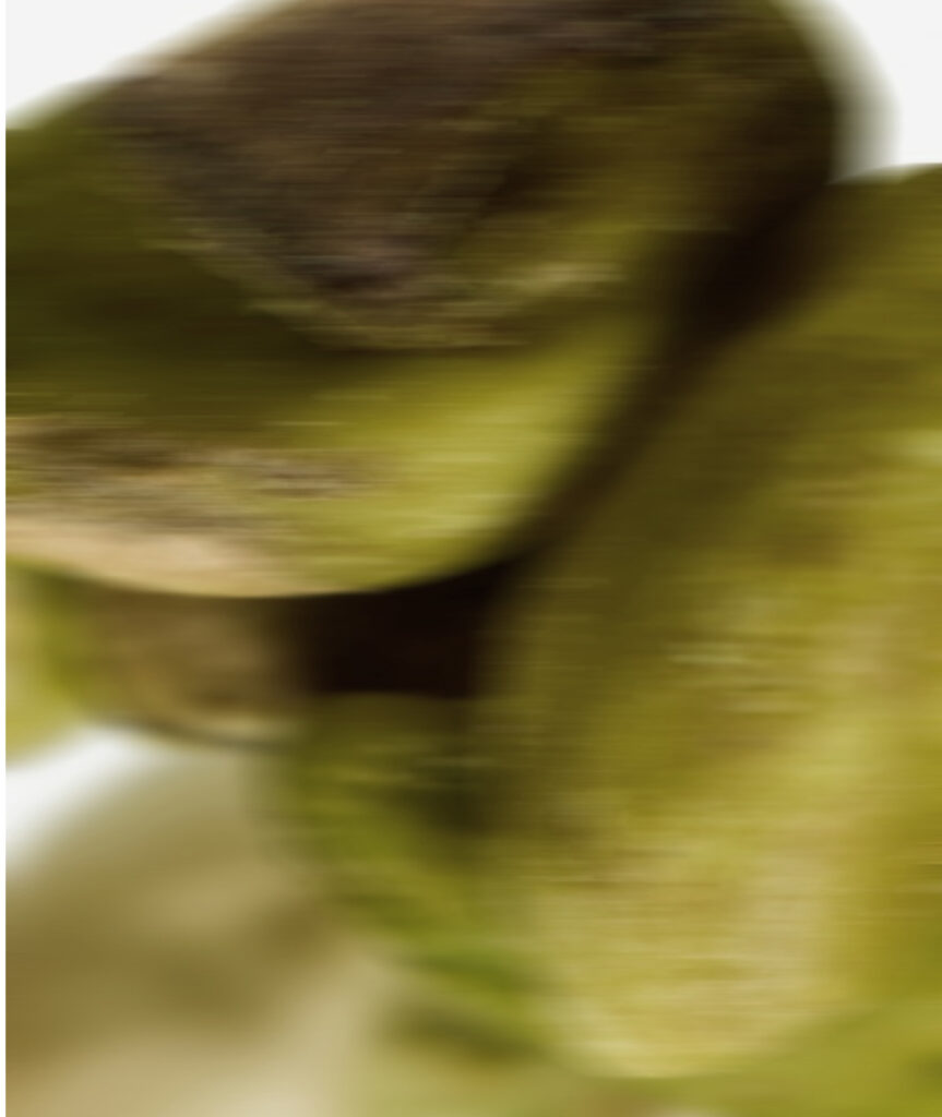 Pistachio