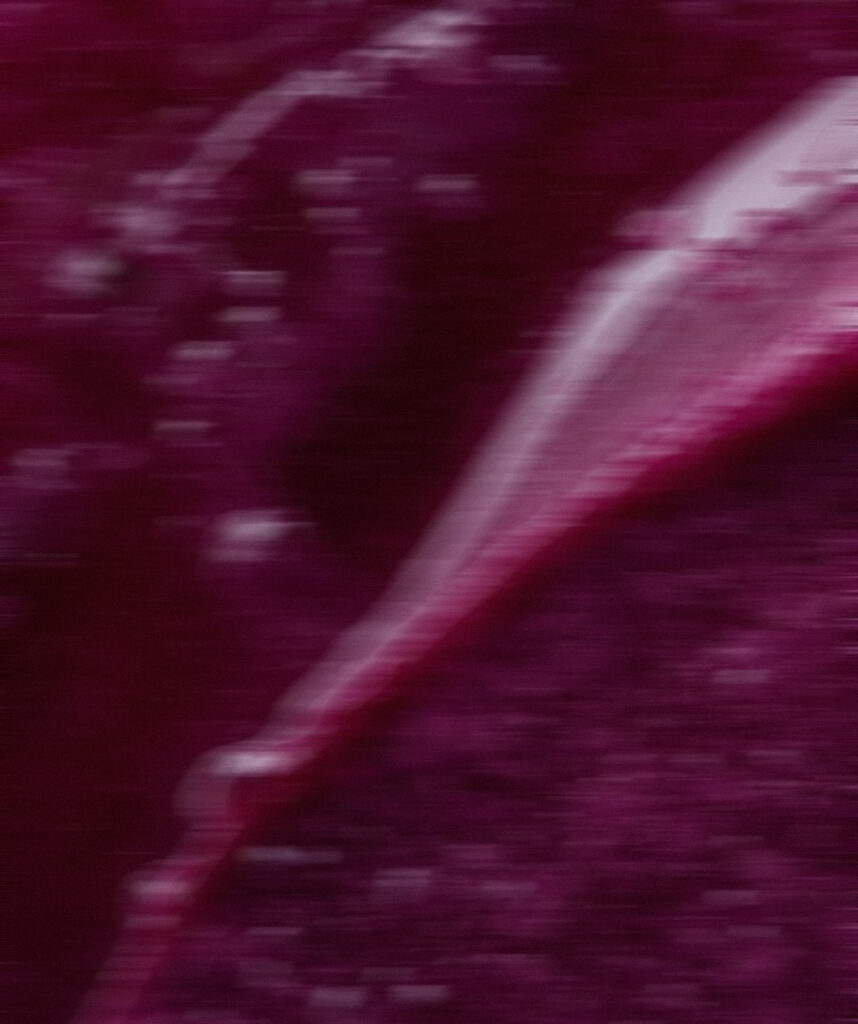 Grape Cordial