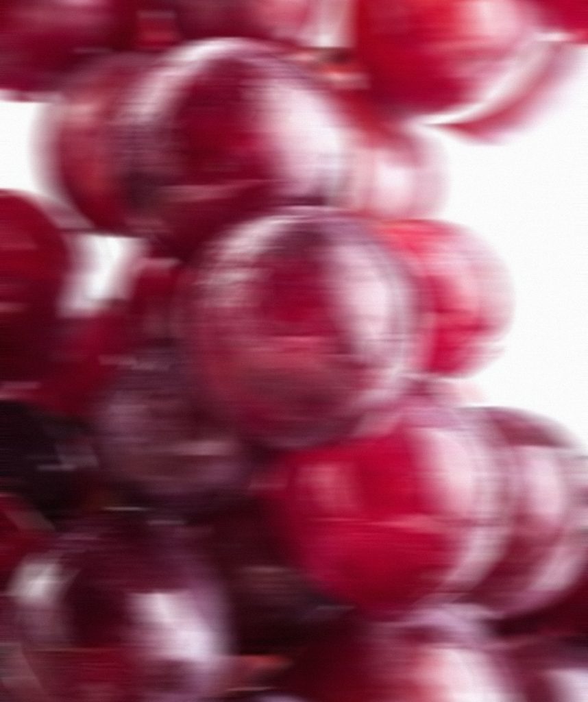 Purple Grapes