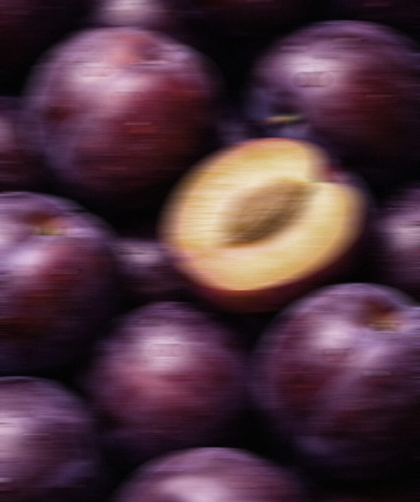 Purple Plum