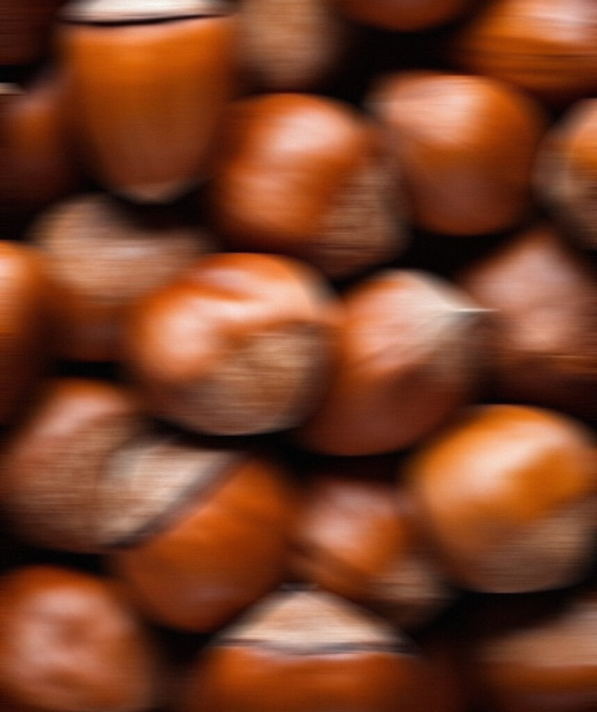 Hazelnut