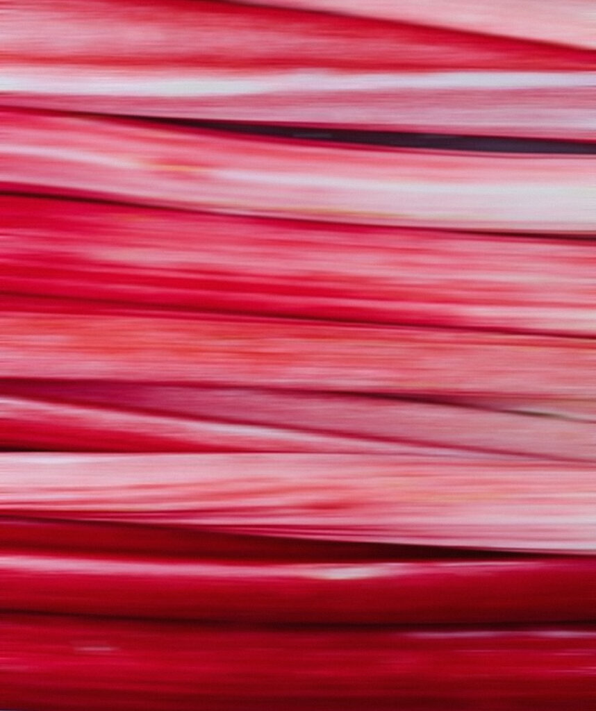 Rhubarb